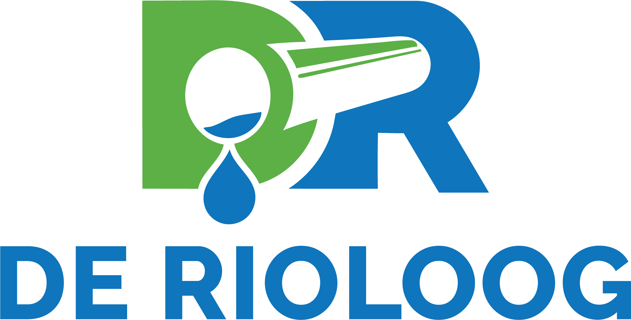 Logo De Rioloog